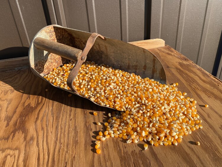 Henry Yellow Dynamite Popcorn (1.25 lb)