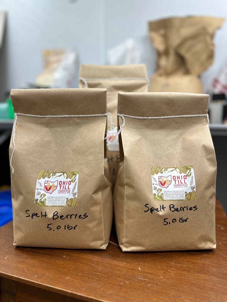 Sungold Spelt Berries (2lbs)