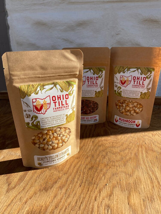 Single-Serving Popcorn Sample (4oz)